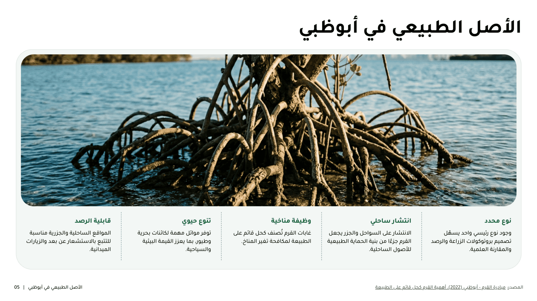 شريحة عربية في noxi: «الأصل الطبيعي في أبوظبي» — صورة عريضة وصفّ من خمسة أعمدة مفاهيمية تُقرأ من اليمين.
