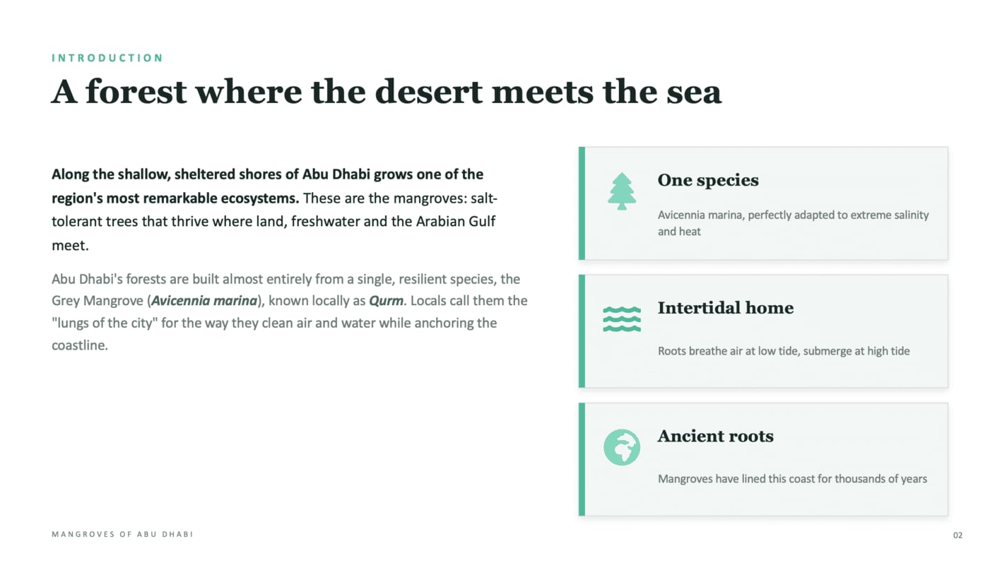 A presentation slide generated by Claude — 'A forest where the desert meets the sea', a clean two-column mangroves intro with three icon feature cards; tidy but plain design.