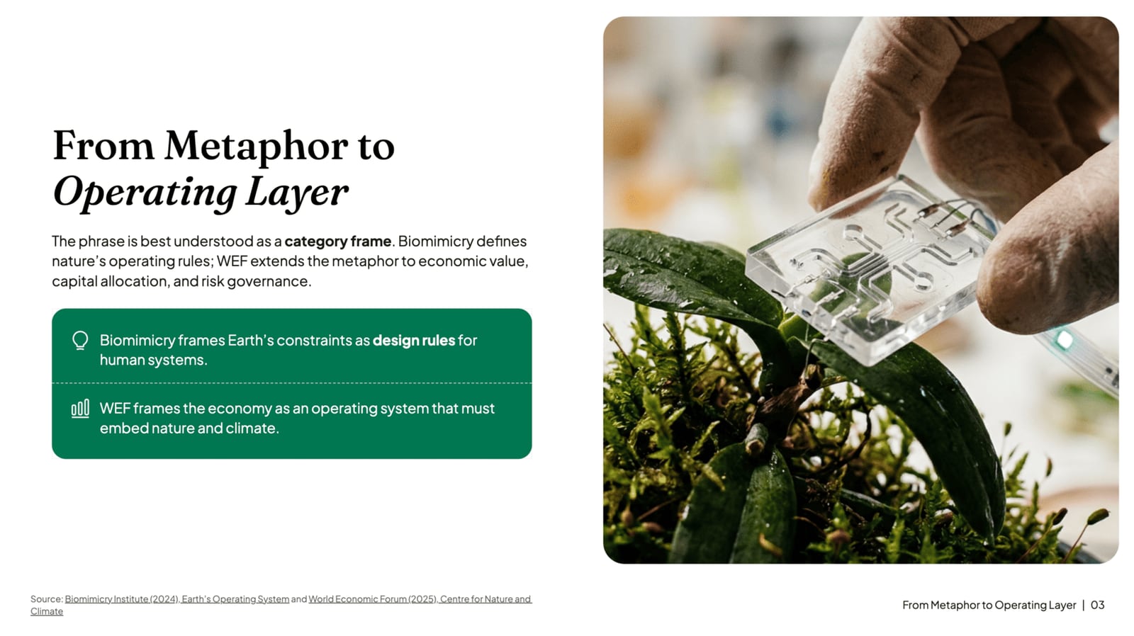 Slide from the NOXI-generated deck — a structured layout pairing text with a supporting visual.