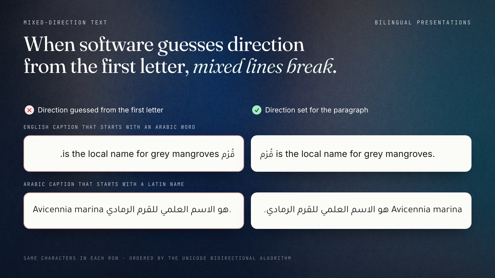 Two captions, each rendered twice from identical characters. When direction is guessed from the first letter, the English caption that starts with the Arabic word qurm becomes right to left and its full stop jumps to the front, and the Arabic caption that starts with the Latin name Avicennia marina becomes left to right and reads backwards. With the paragraph direction set, both read correctly.