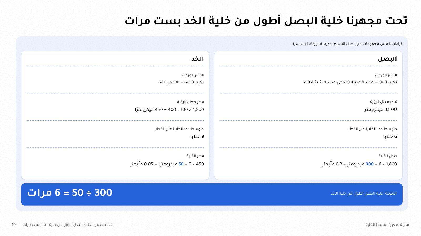 شريحة من NOXI: حساب تجربة المجهر، خلية البصل 1,800 ÷ 6 = 300 ميكرومتر عند تكبير 100، وخلية الخد 450 ÷ 9 = 50 ميكرومترًا عند تكبير 400، فالبصل أطول بست مرات.