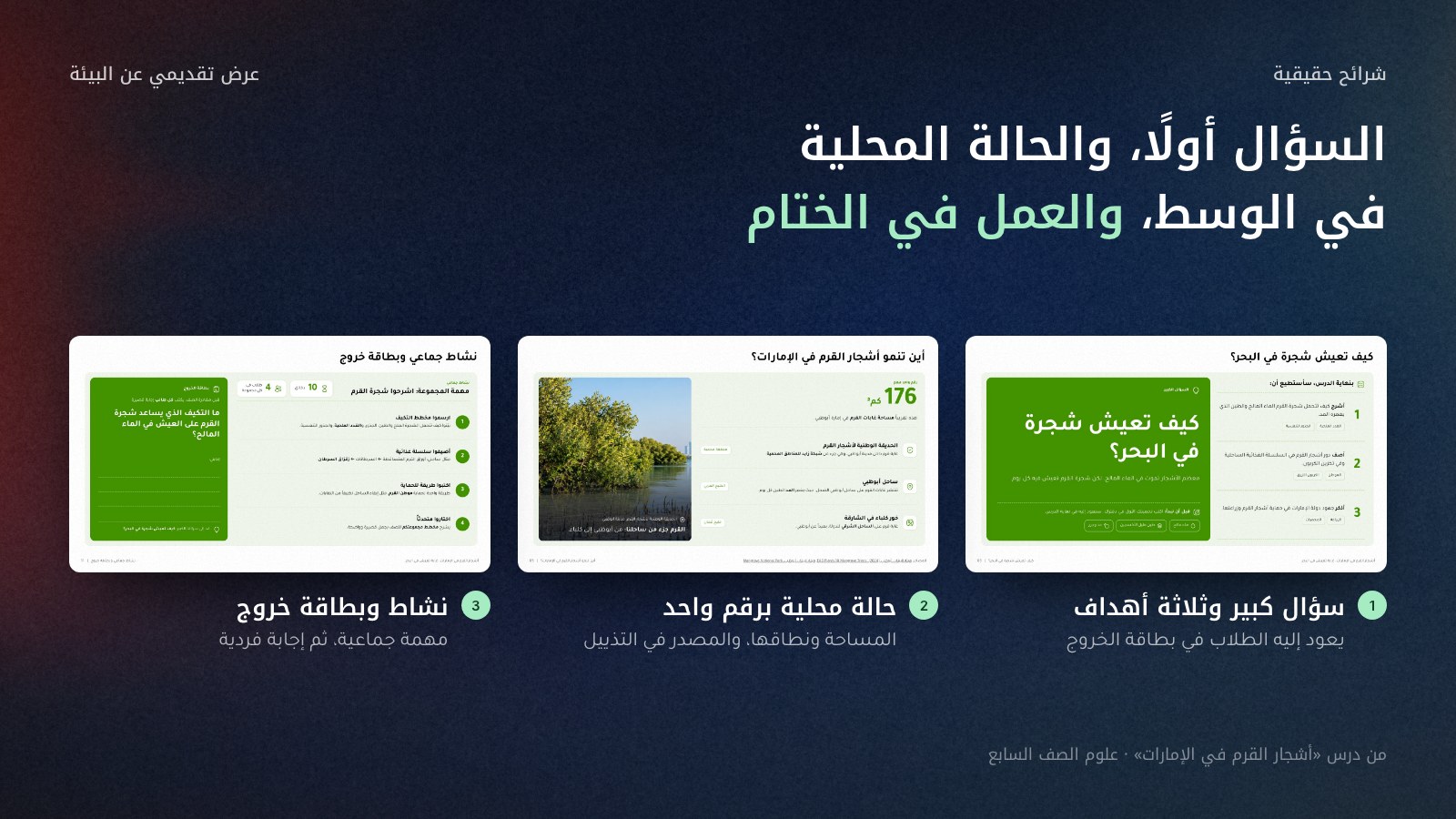 ثلاث شرائح حقيقية من درس أشجار القرم في الإمارات، مرتبة من اليمين إلى اليسار: الشريحة 3 بالسؤال الكبير «كيف تعيش شجرة في البحر؟» وثلاثة أهداف، والشريحة 5 «أين تنمو أشجار القرم في الإمارات؟» برقم مساحة واحد ومصدره في التذييل، والشريحة 11 بنشاط جماعي من أربع خطوات وبطاقة خروج تعيد الطالب إلى السؤال.