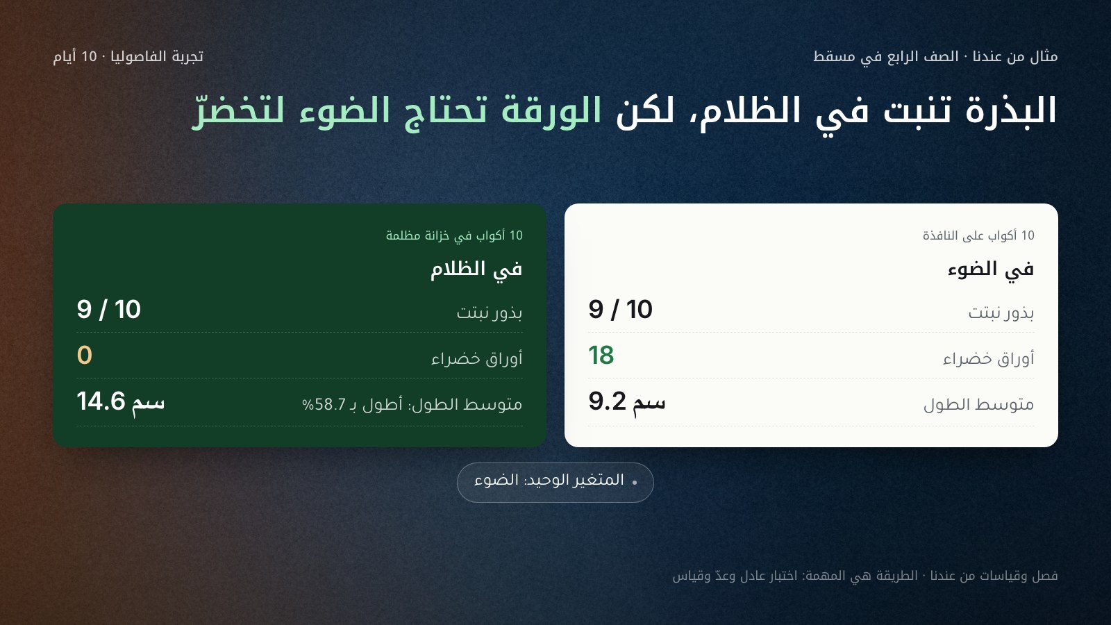 مثال من عندنا لفصل في مسقط: 20 كوب فاصوليا لمدة 10 أيام. في الضوء نبتت 9 من 10 بذور، و18 ورقة خضراء، ومتوسط الطول 9.2 سم. وفي الظلام نبتت 9 من 10 أيضًا، و0 أوراق خضراء، ومتوسط الطول 14.6 سم، أي أطول بـ 58.7% لكن بلا لون أخضر.