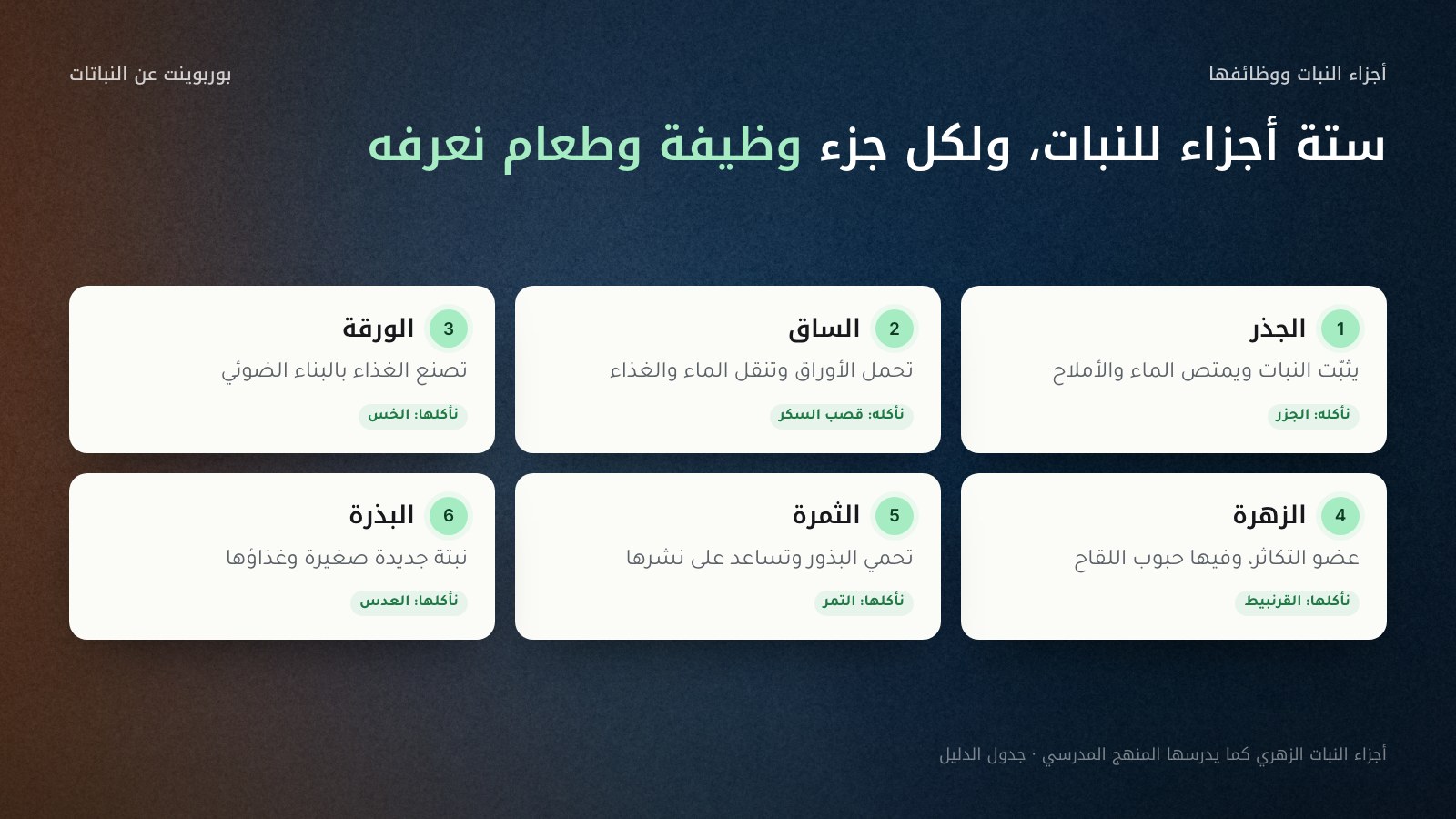 ست بطاقات لأجزاء النبات الزهري، لكل بطاقة رقم ووظيفة ومثال من الطعام: الجذر يثبّت ويمتص الماء والأملاح (الجزر)، والساق تحمل وتنقل (قصب السكر)، والورقة تصنع الغذاء (الخس)، والزهرة للتكاثر (القرنبيط)، والثمرة تحمي البذور (التمر)، والبذرة نبتة جديدة (العدس).